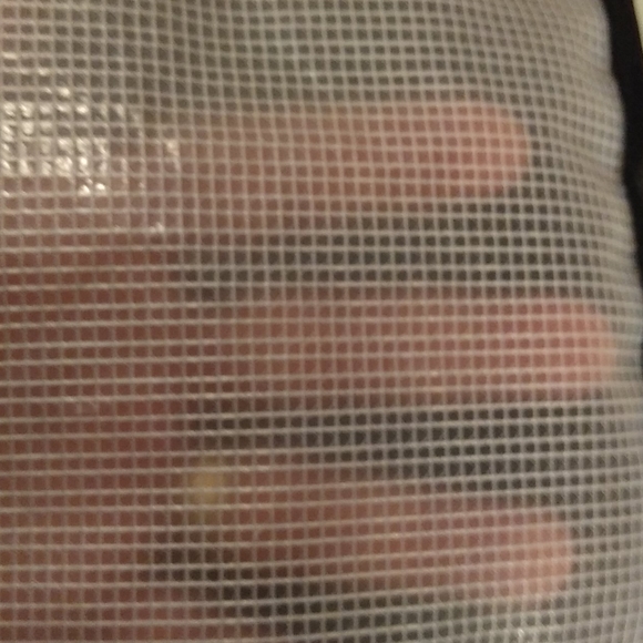 Thule Top-Load Bag W/ Zipper & reinforced window - Picture 7 of 9